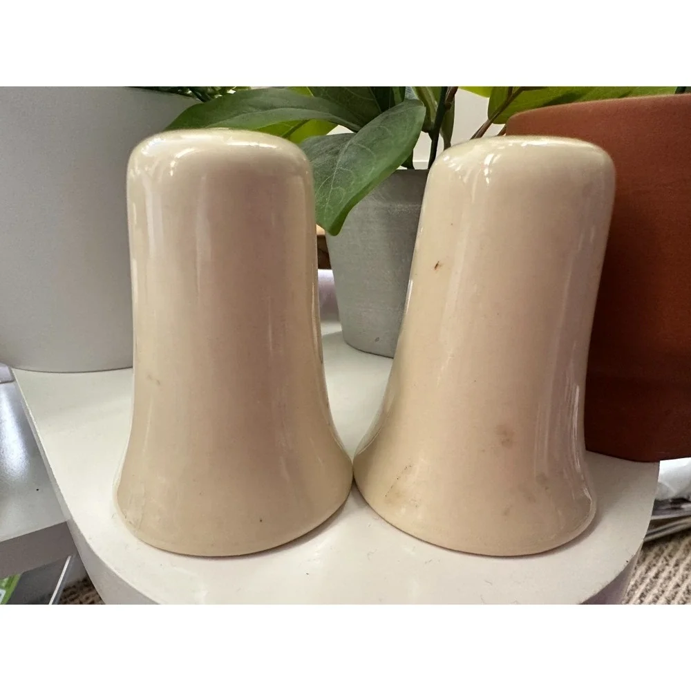 Worcester Polytechnic Institute Salt‎ and Pepper Shakers Vintage WPI